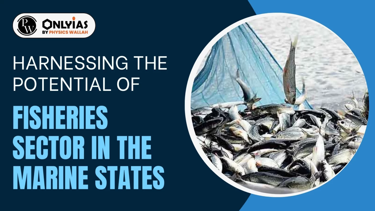 Harnessing the Potential of Fisheries Sector in the Marine States
