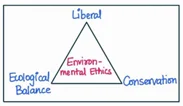 Environmental ethics 