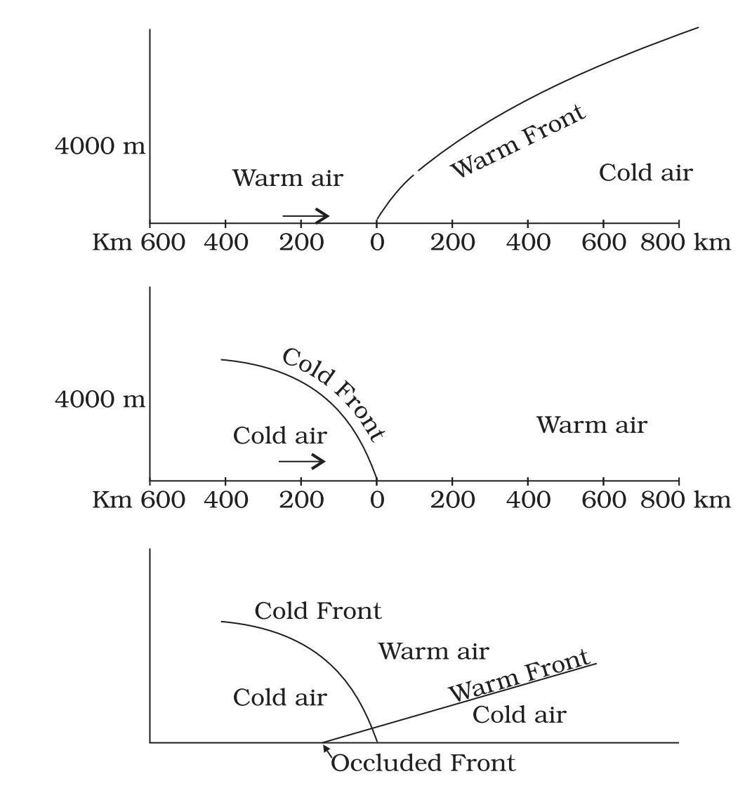 cold & warm front