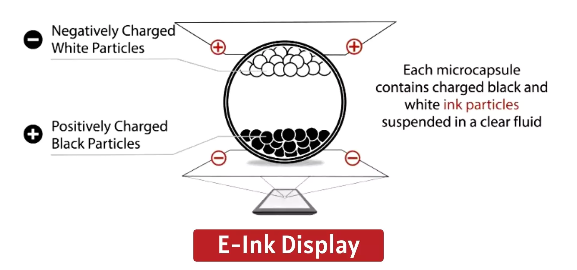 E Ink Display Technology - PWOnlyIAS