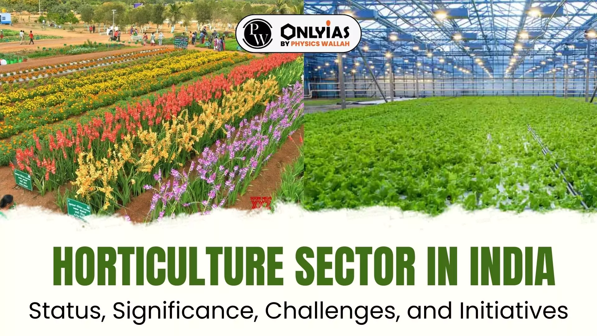 Agriculture Govt Jobs 2024 Latest 500+ Horticulture Vacancies