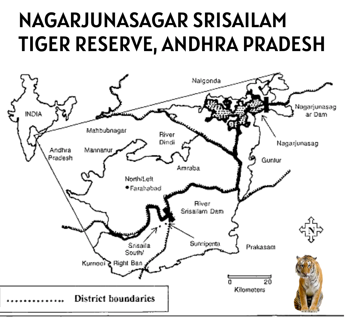 Nagarjunasagar-Srisailam Tiger Reserve