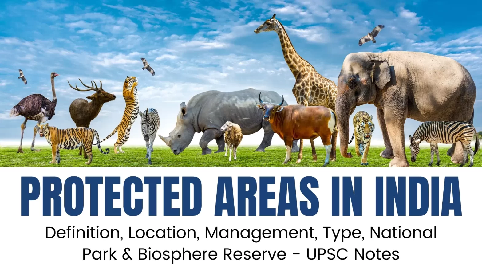 Protected Areas in India –  Definition, Location, Management, Type, National Park & Biosphere Reserve – UPSC Notes