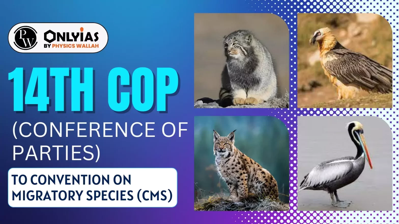 14th CoP (Conference of Parties) to Convention On Migratory Species (CMS)