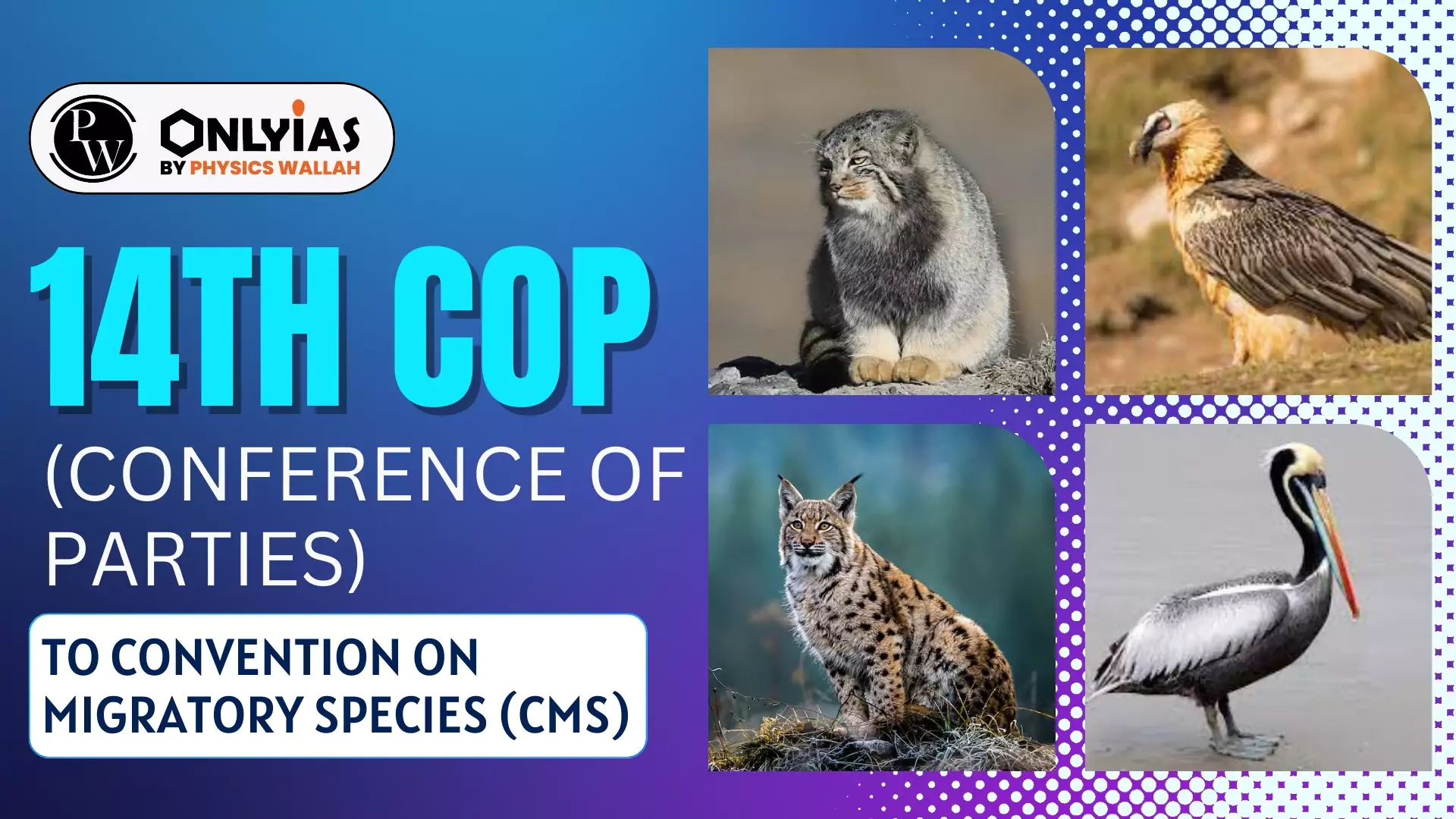 14th CoP (Conference Of Parties) To Convention On Migratory Species ...