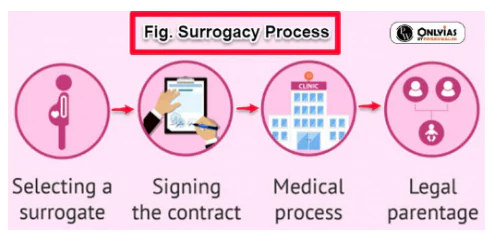 Surrogacy Rules