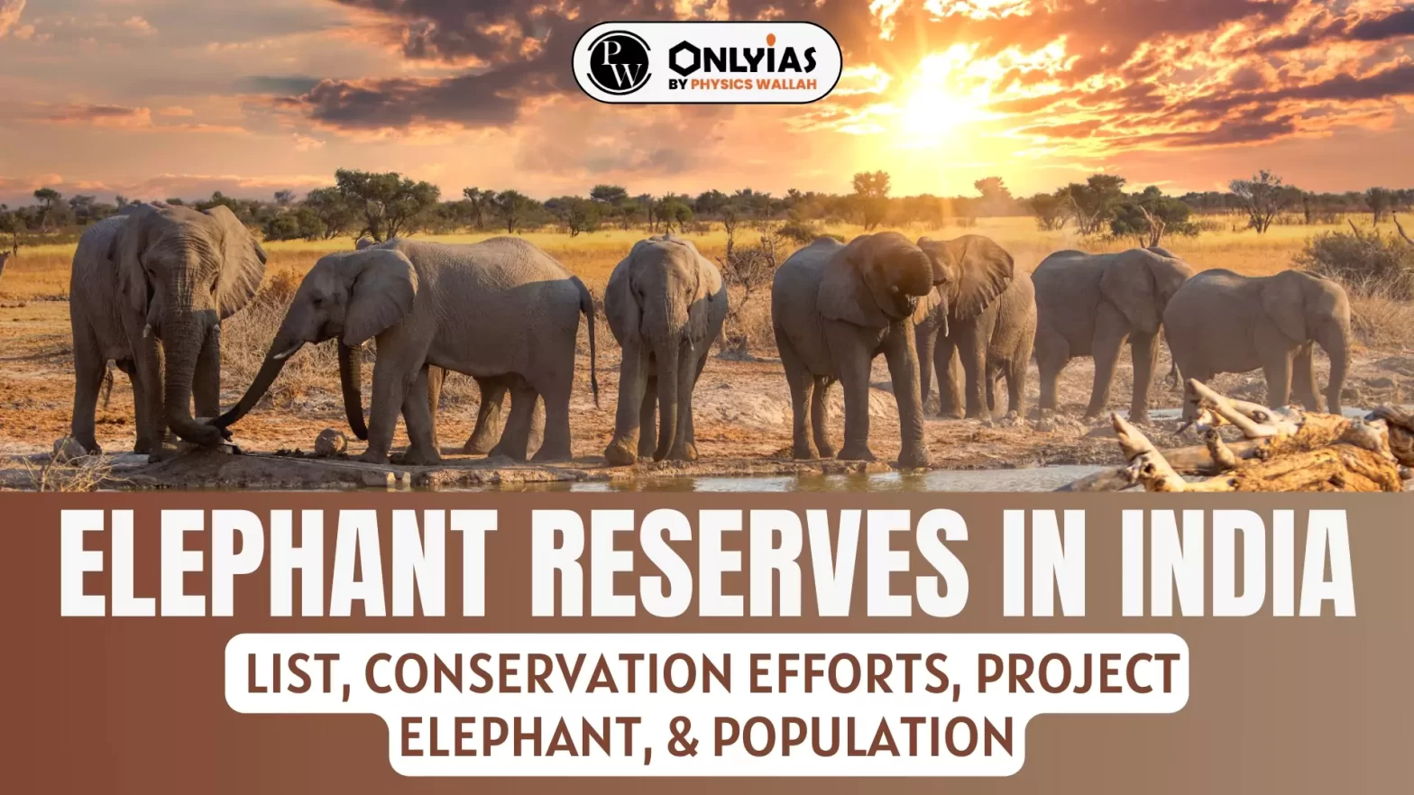 Elephant Reserves in India: List, Conservation Efforts, Project Elephant, & Population