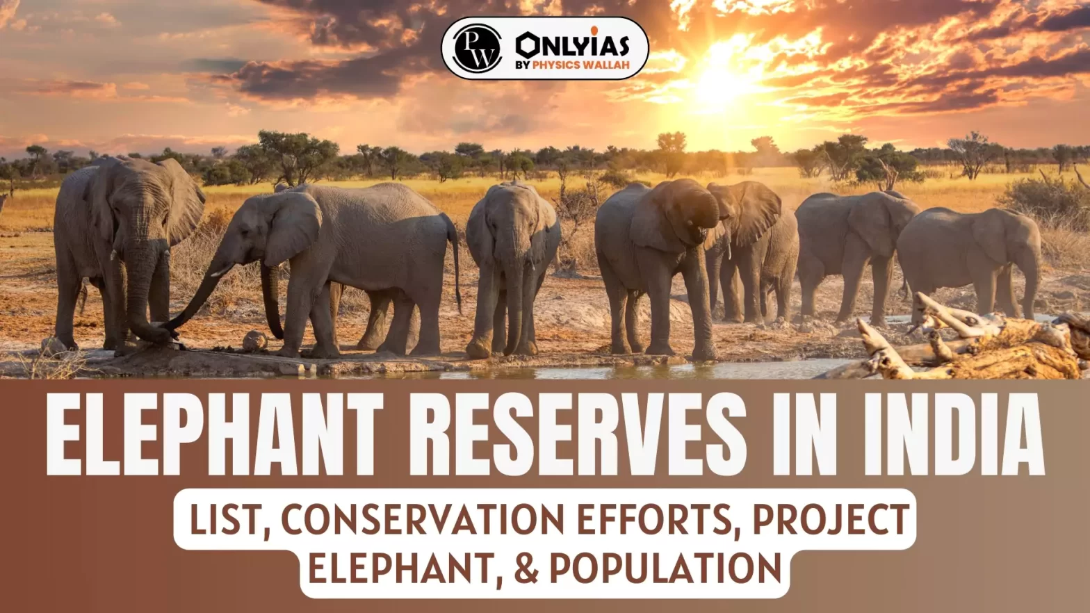 Elephant Reserves In India List, Conservation Efforts, Project