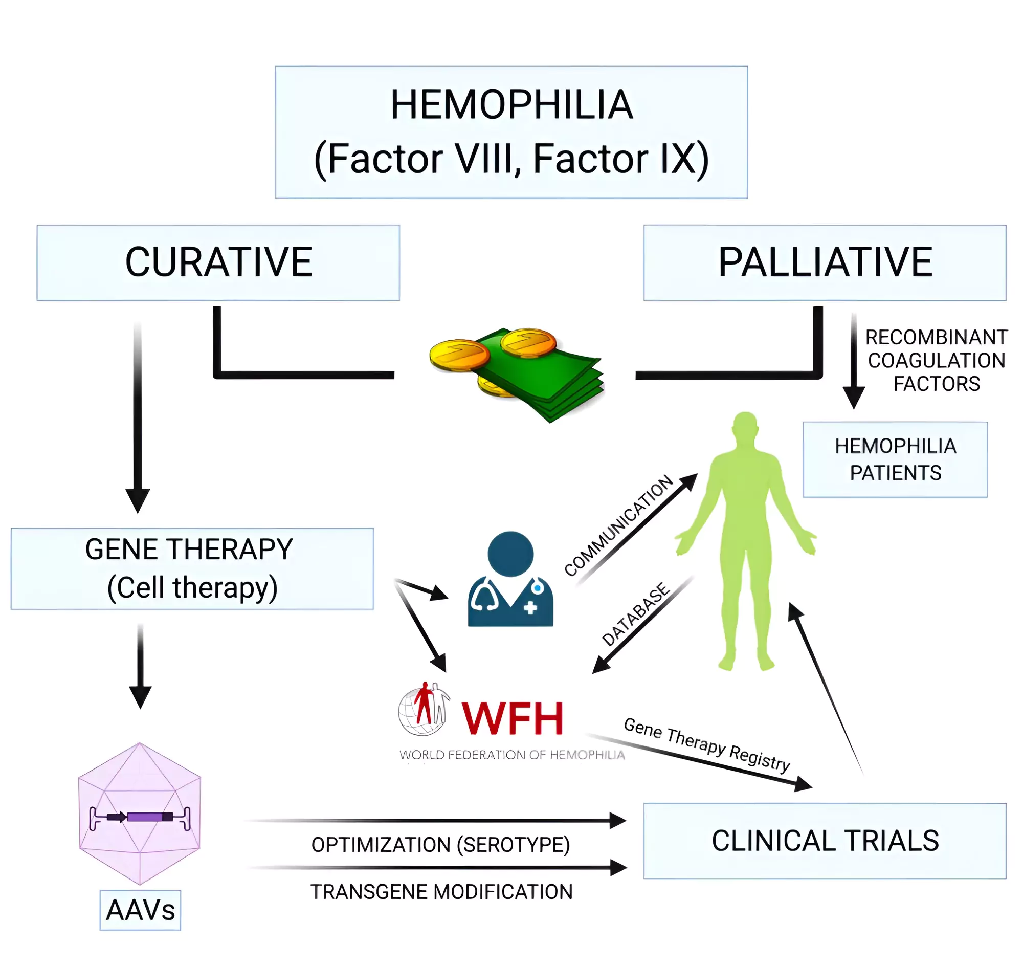 Haemophilia A