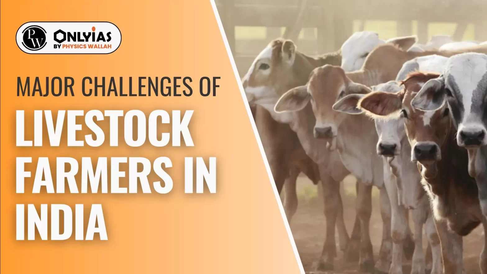 Major Challenges of Livestock Farmers in India