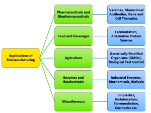 Bio­ Manufacturing