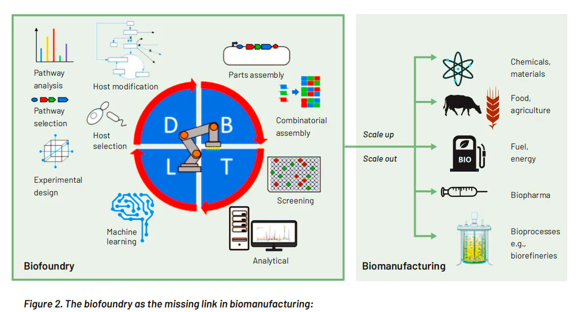 Bio­ Manufacturing