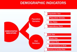 Demographic