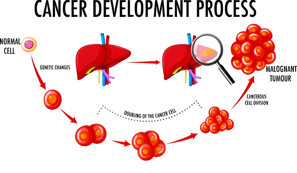 Cancer Burden In India 