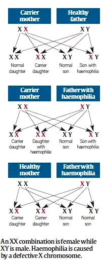 Haemophilia A