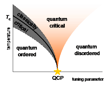 Quantum Critical Point