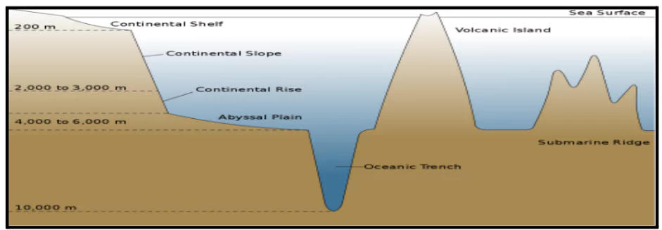 major sub-divisions of the Ocean Floor