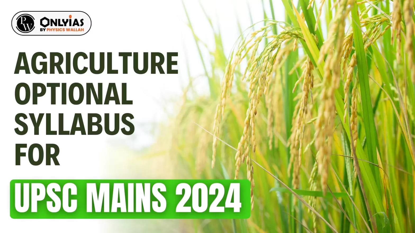 Agriculture Optional Syllabus for UPSC Mains 2024