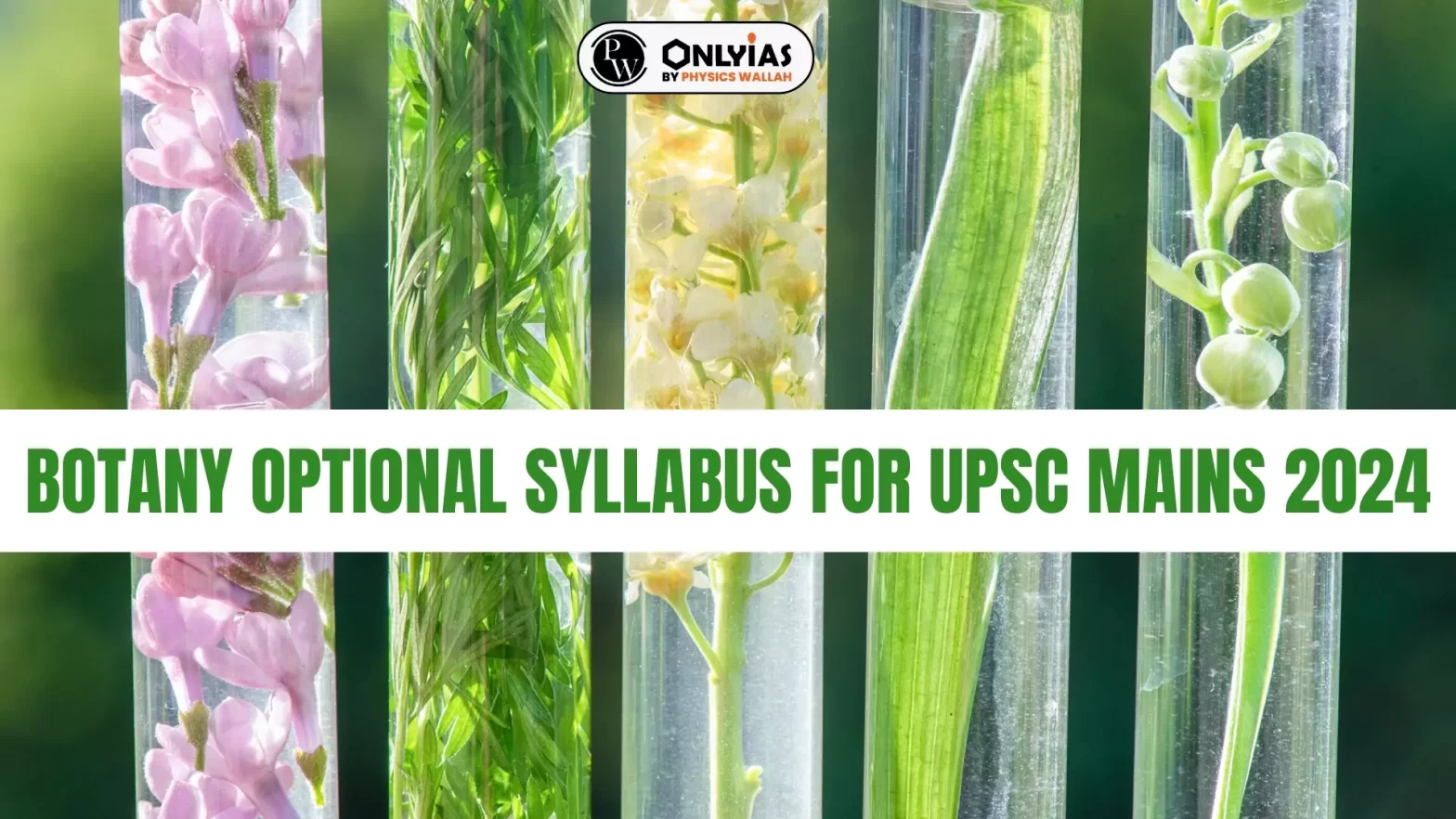 Botany Optional Syllabus for UPSC Mains 2024
