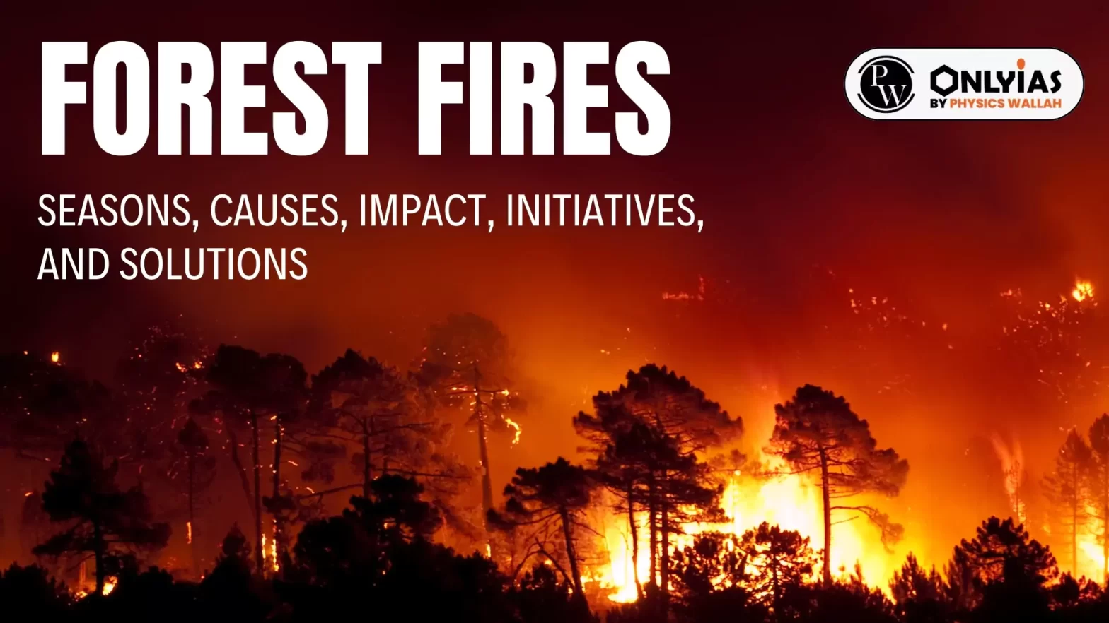 Forest Fires: Seasons, Causes, Impact, Initiatives, and Solutions
