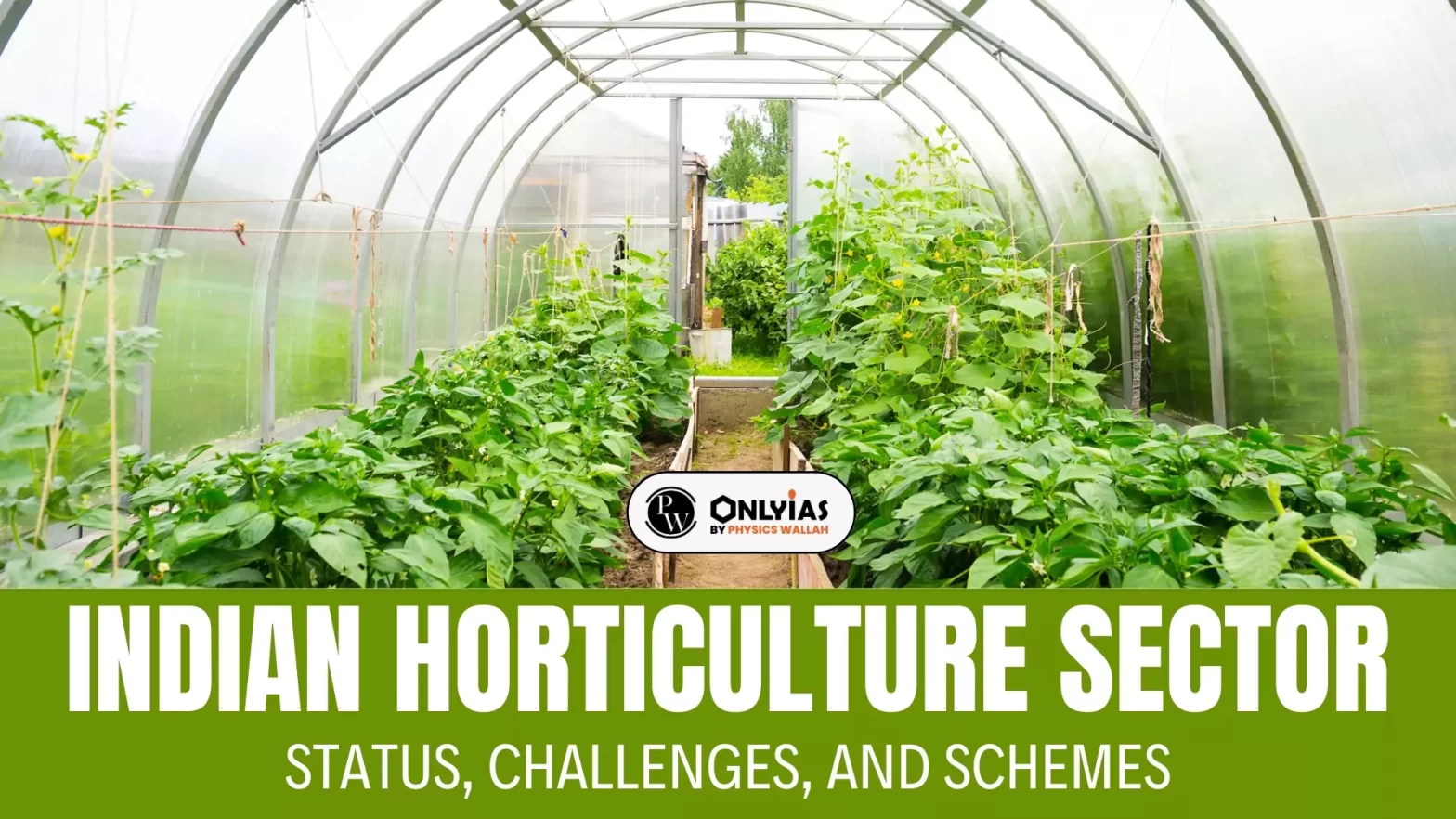 Indian Horticulture Sector: Status, Challenges, and Schemes