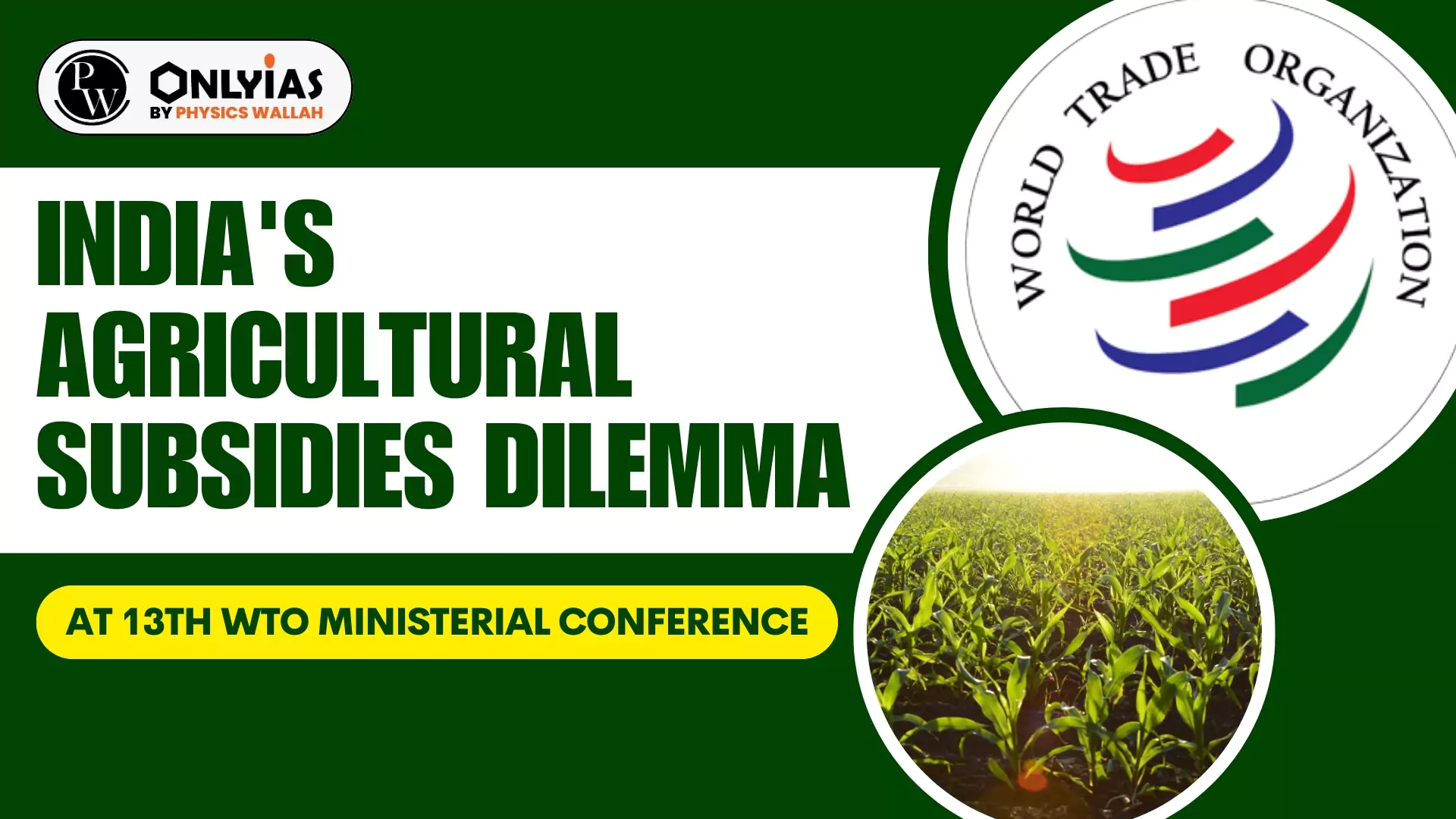 India's Agricultural Subsidies Dilemma At 13th WTO Ministerial