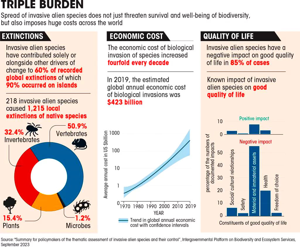 invasive species in india