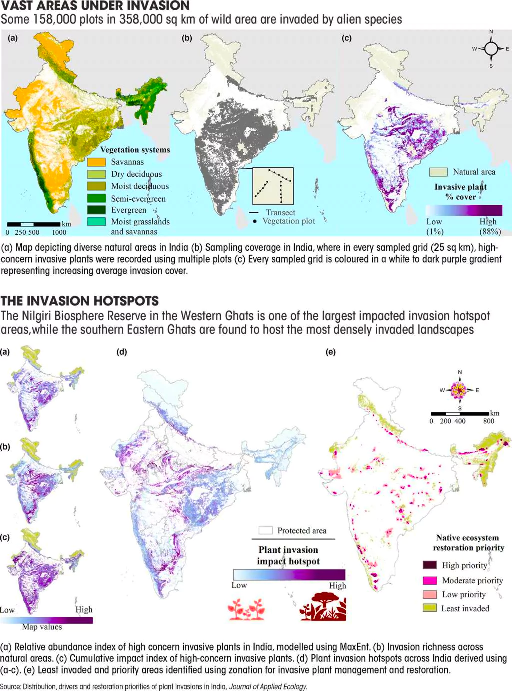 invasive species in india