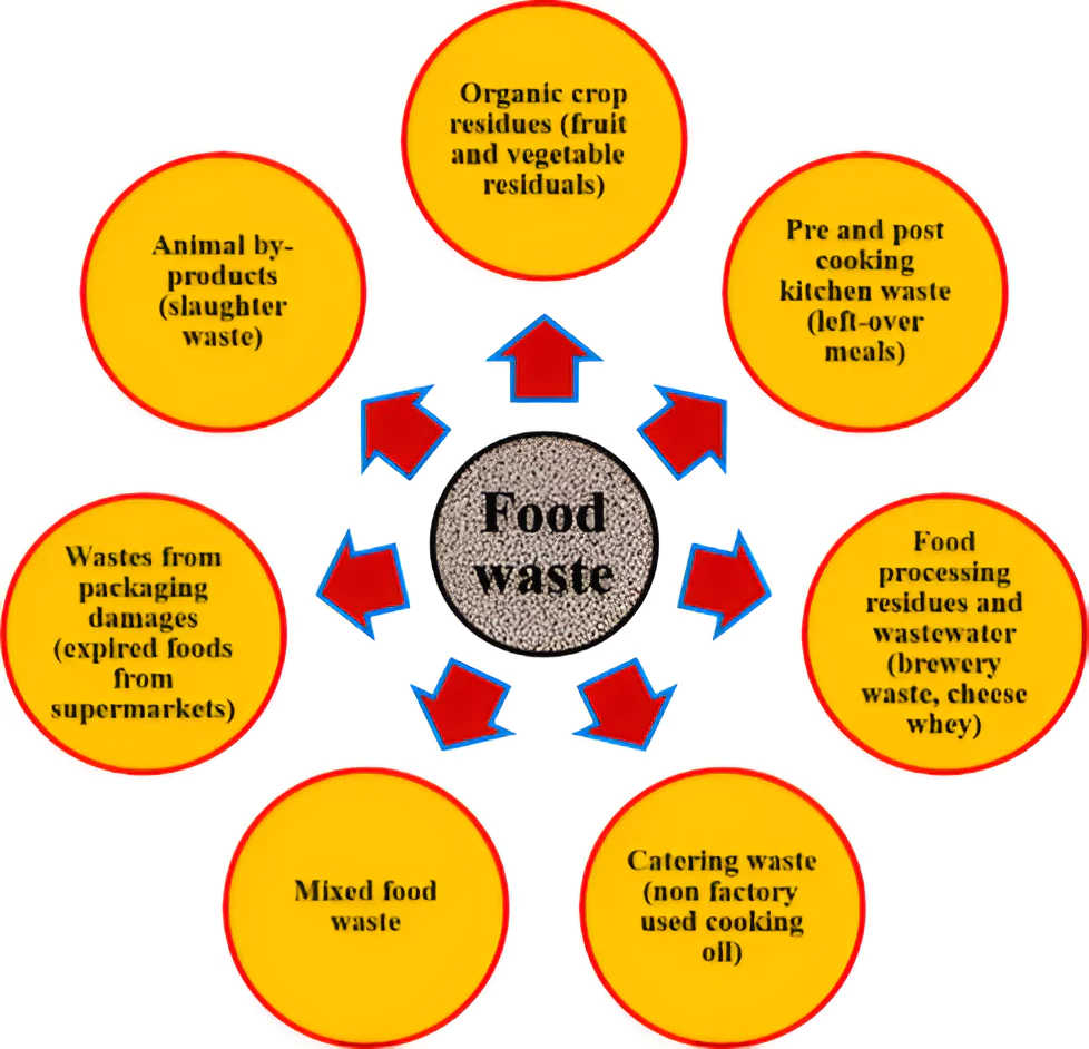 Food Waste Index Report 2024
