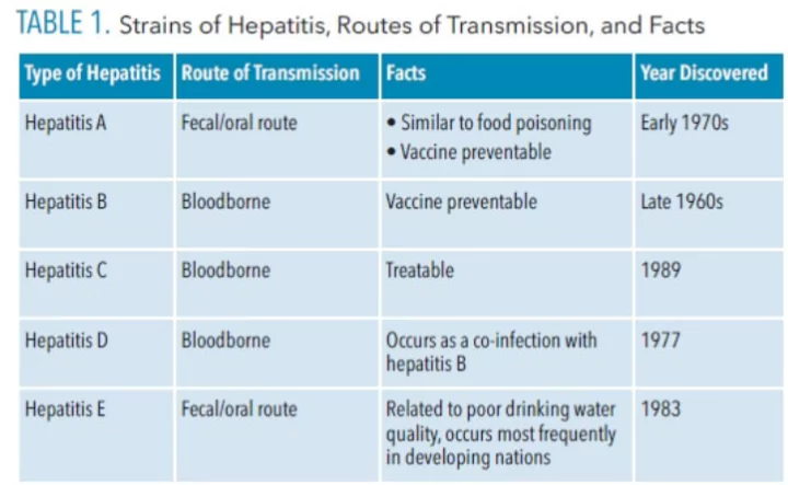 Global Hepatitis Report