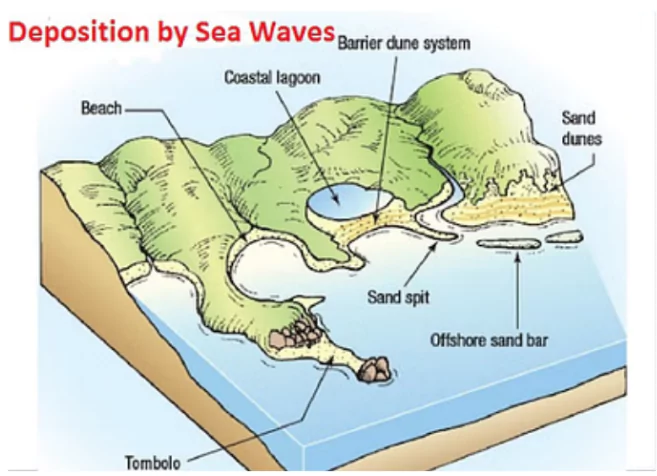Coastal depositional landforms