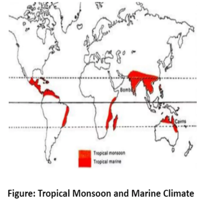 Tropical Monsoon Climate
