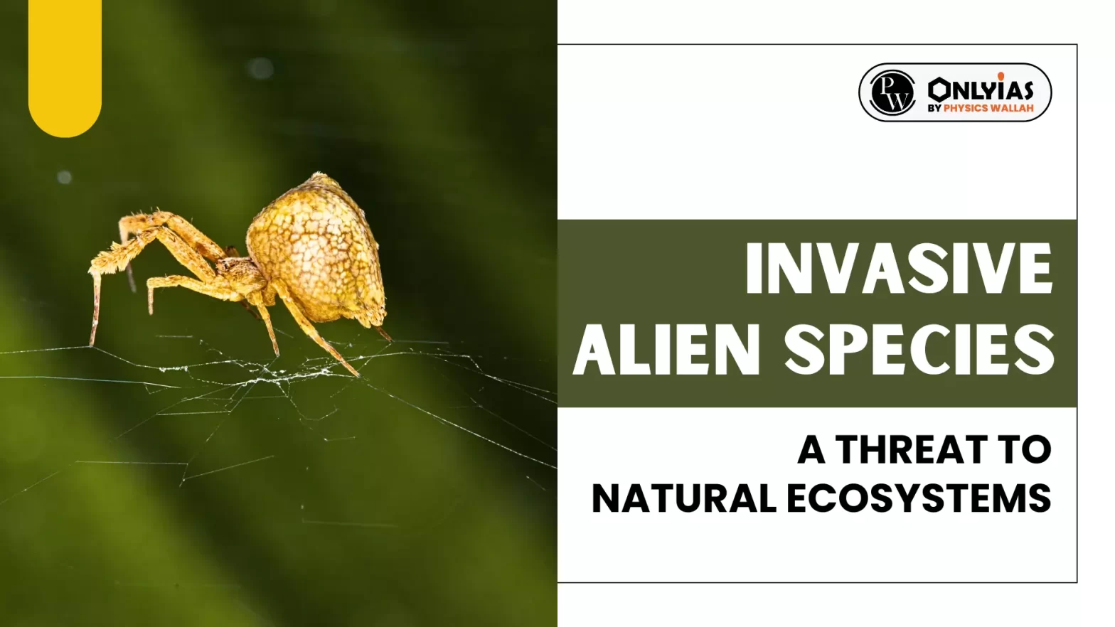 Invasive Alien Species: A Threat To Natural Ecosystems