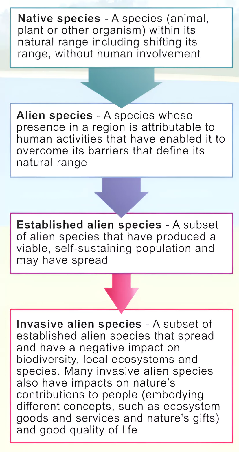 Invasive Alien Species
