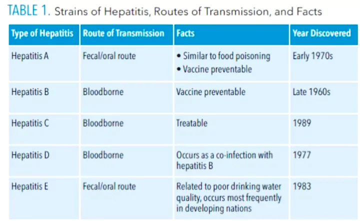 Global Hepatitis Report 2024