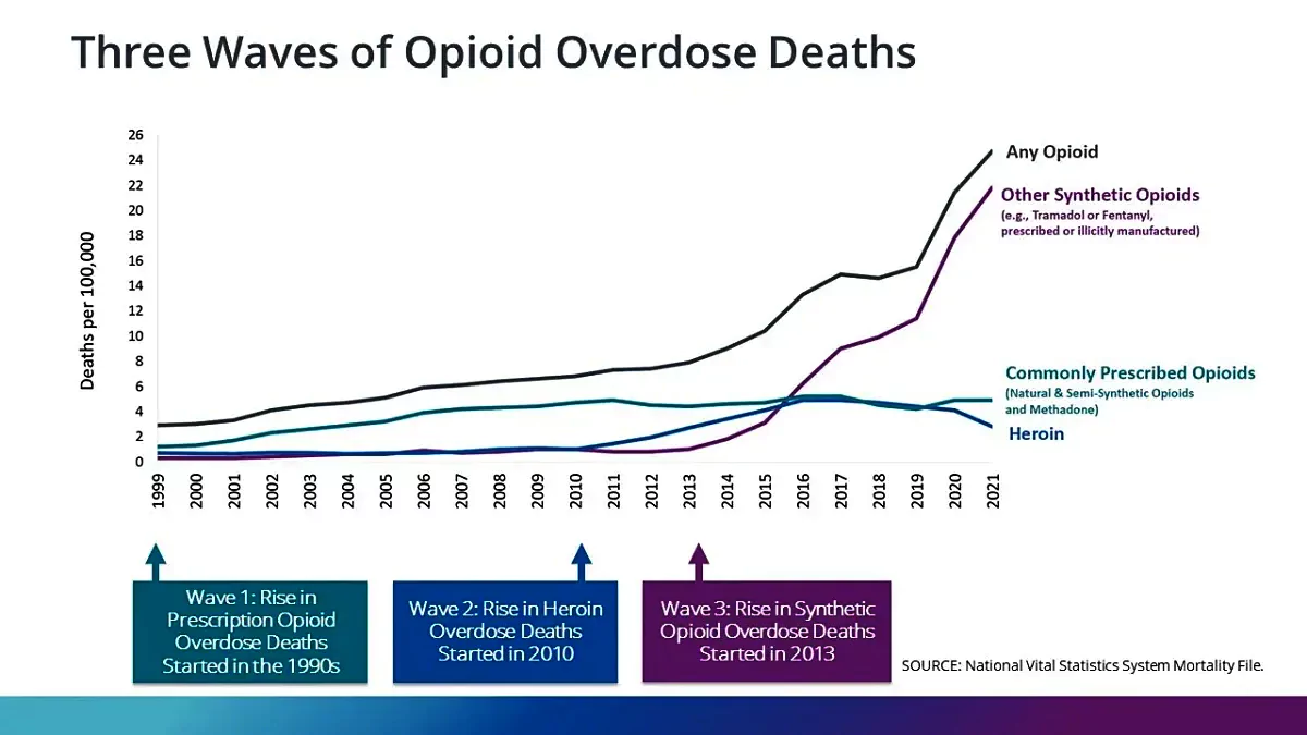 Fentanyl Synthetic Opioids