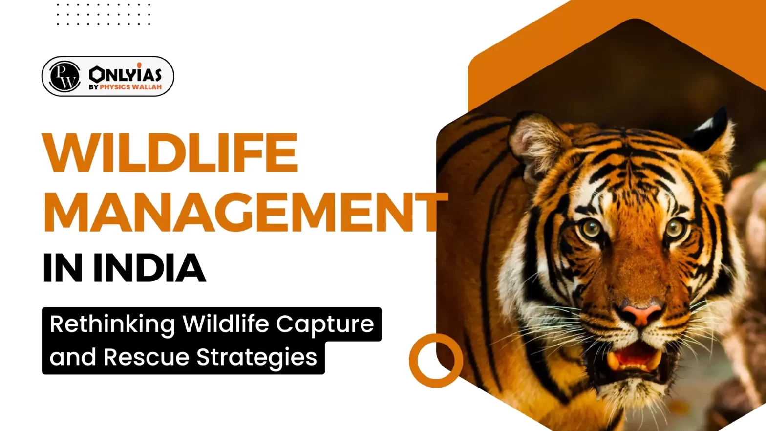 Wildlife Management in India: Rethinking Wildlife Capture and Rescue Strategies