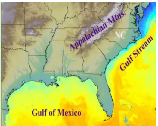 Warm Temperate Eastern Margin