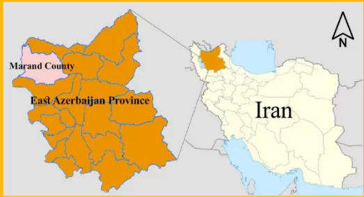 Iran’s 