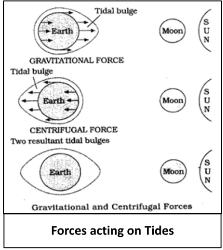 Waves And Tides: Types, Characteristics, Impact - PWOnlyIAS