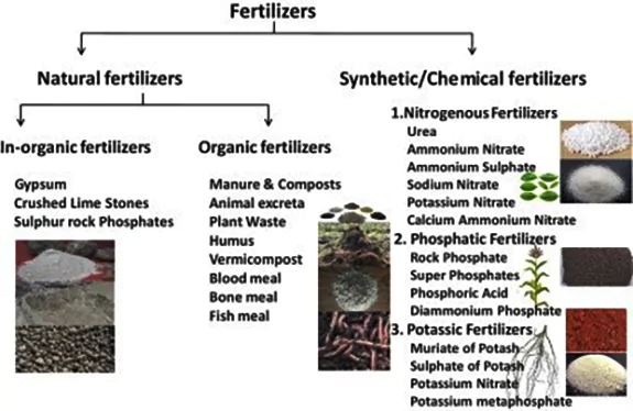 Balanced fertilization