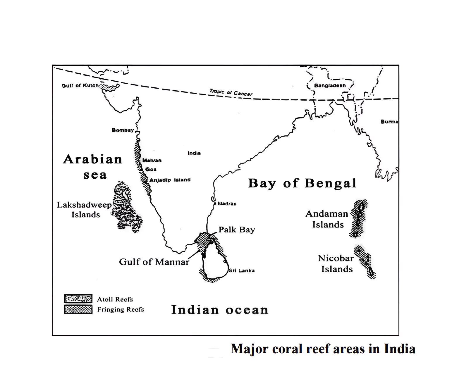 Severe Coral Bleaching in Lakshadweep