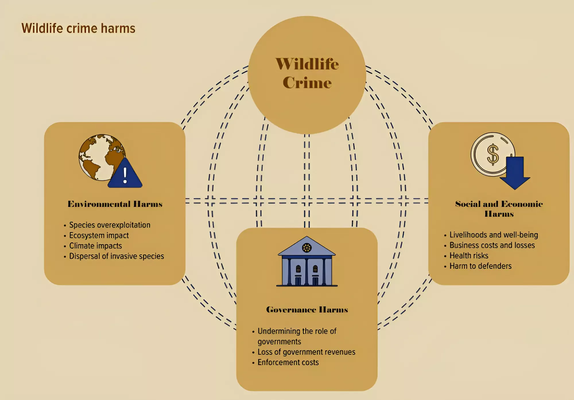 World Wildlife Crime Report 2024