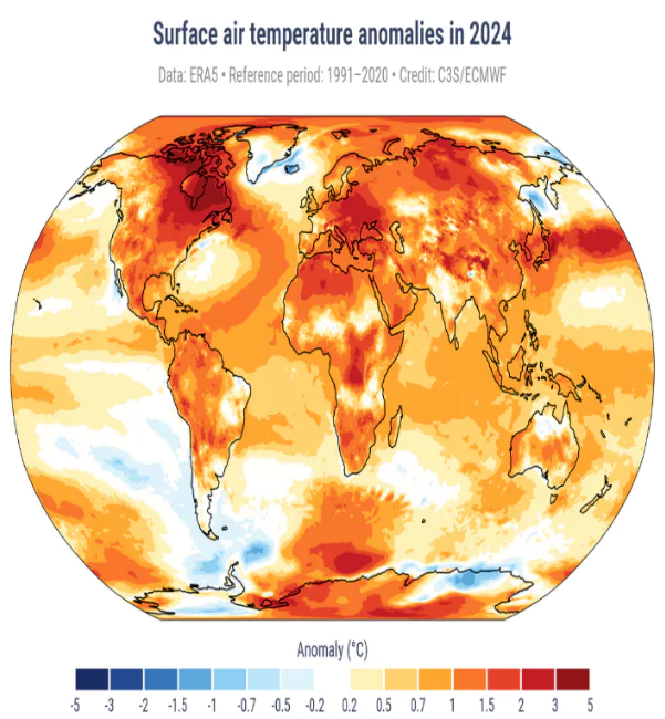 Copernicus Climate Change Service Assessment