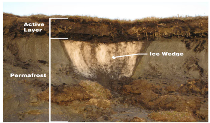 Permafrost Carbon