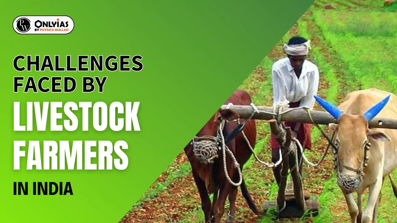 Challenges Faced by Livestock Farmers in India