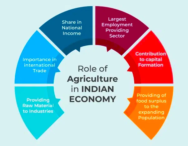 Agriculture Sector In India