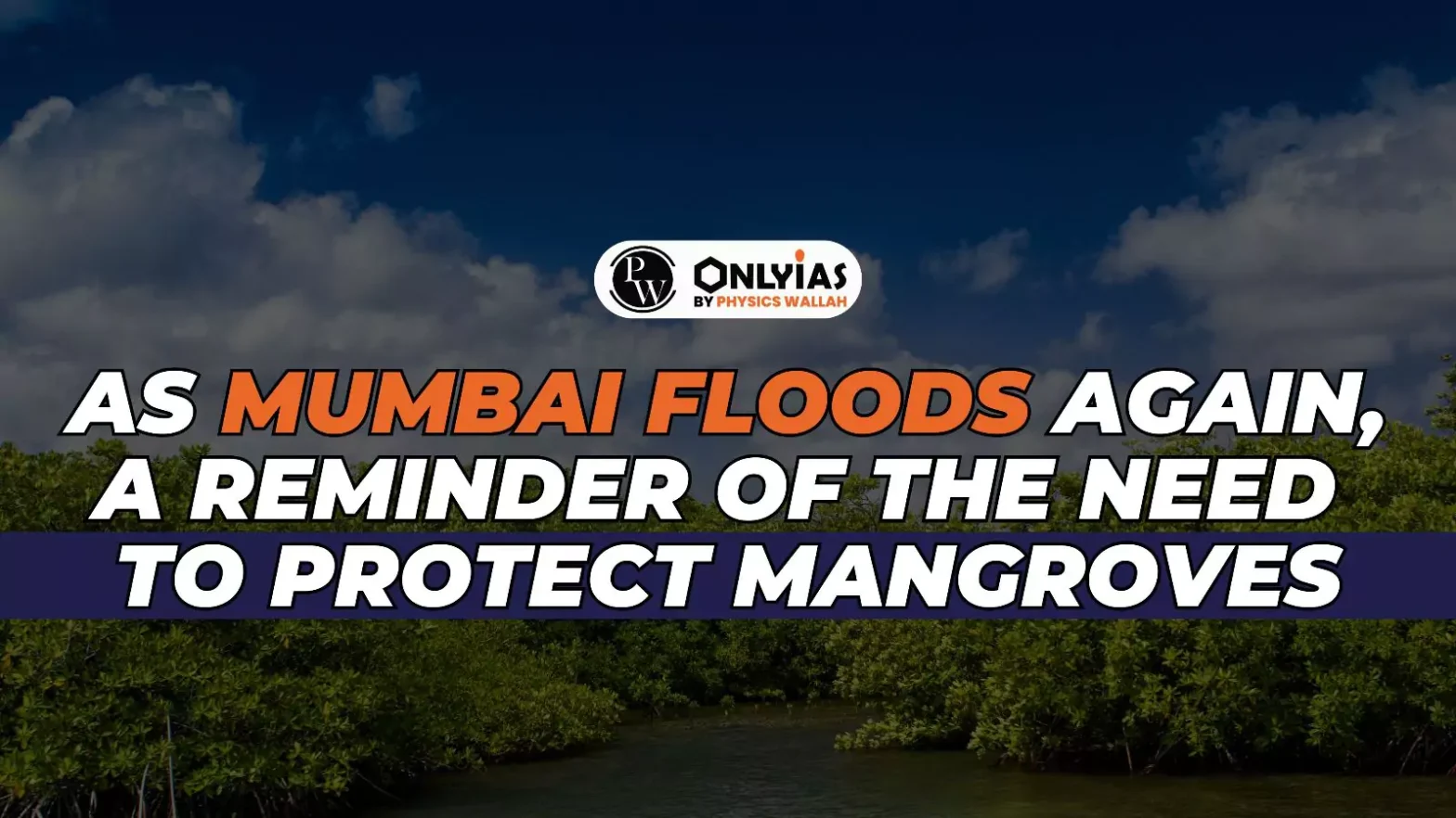 As Mumbai Floods Again, A Reminder Of The Need To Protect Mangroves