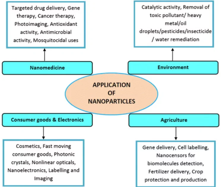 Mineral Nanoparticles