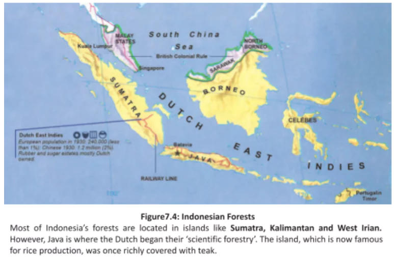 Forest Transformations in Java